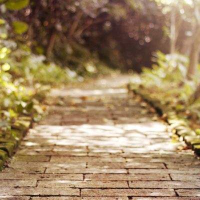 im电竞官方官网手机app下载